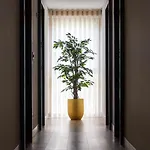 Ribeira House לינה וארוחת בוקר