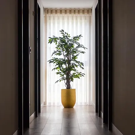 Ribeira House Bed and Breakfast