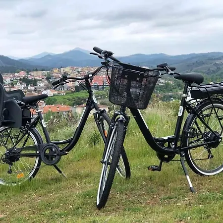 Ribeira House Bed and Breakfast